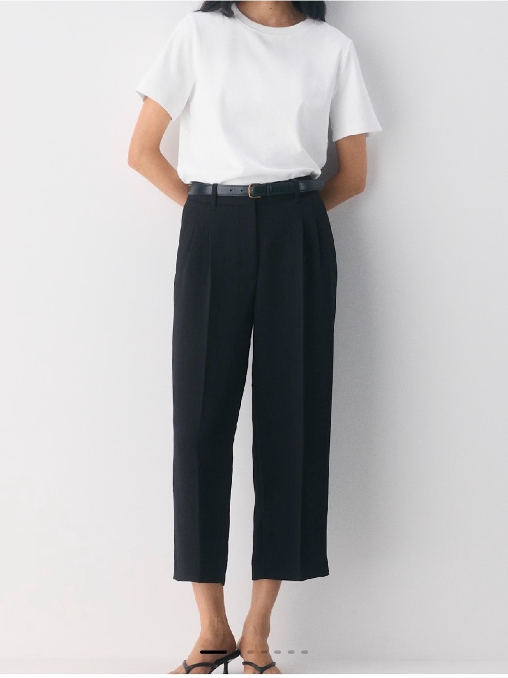 Aritzia Black Cropped High-Waist Pleated Trousers